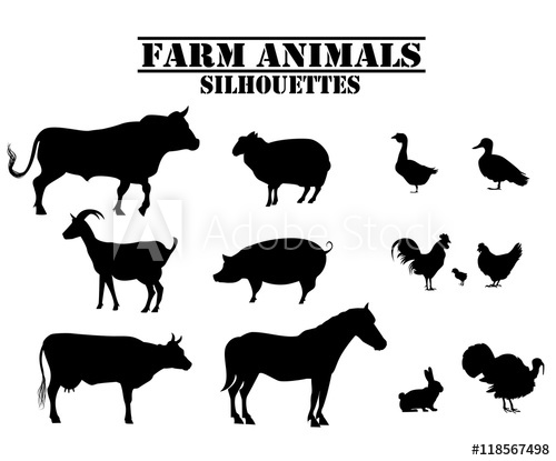 Vector Farm Animals Silhouettes Of Bull, Cow, Turkey, Rabbit, Pig 500x415 Vector Farm Animals Silhouettes Of Bull, Cow, Turkey, Rabbit, Pig