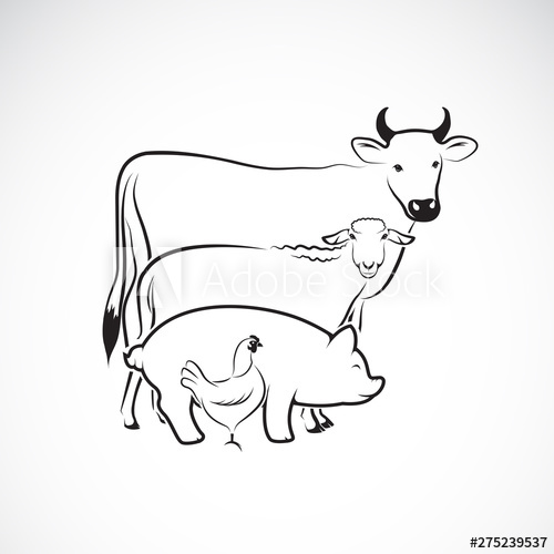 Vector Group Of Animal Farm Design On White Background Cow 500x500 Vector Group Of Animal Farm Design On White Background Cow