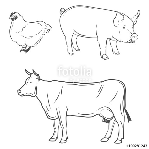 Animals Logo For A Butcher Shop Beef, Pork, Chicken Cow And Pig 500x500 Animals Logo For A Butcher Shop Beef, Pork, Chicken Cow And Pig