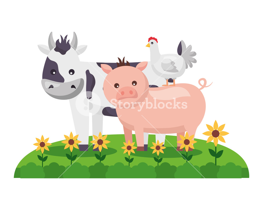 Cow Pig And Chicken Animals Farm Vector Illustration Royalty Free 1000x800 Cow Pig And Chicken Animals Farm Vector Illustration Royalty Free