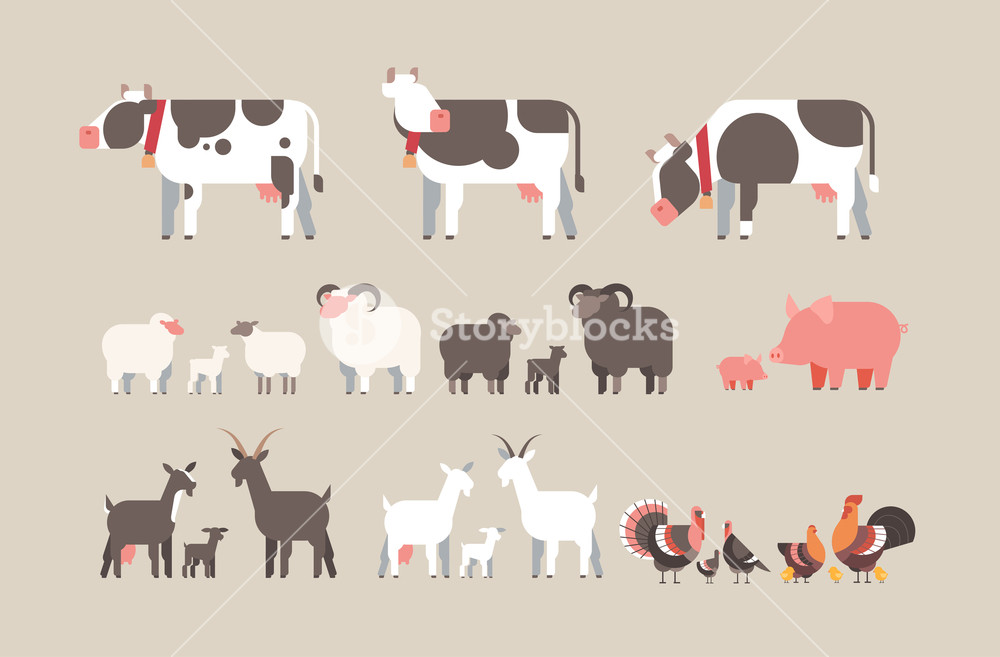 Set Farm Animal Cow Goat Pig Turkey Sheep Chicken Icons Different 1000x657 Set Farm Animal Cow Goat Pig Turkey Sheep Chicken Icons Different