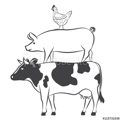 Cow, Pig And Chicken 500x500 Cow, Pig And Chicken