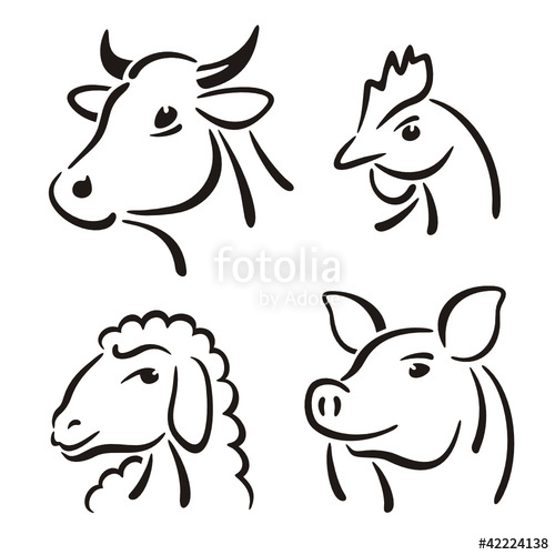 Cow Pig Sheep Chicken Stock Image And Royalty Free Vector 500x500 Cow Pig Sheep Chicken Stock Image And Royalty Free Vector