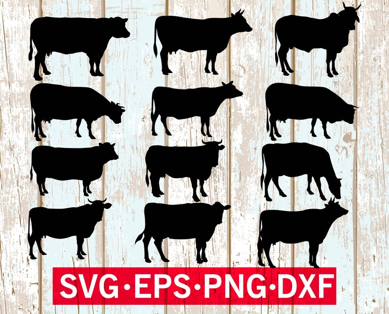 794x641 Cow Cow Dxf Cow Cow Cricut Cow Silhouette Etsy