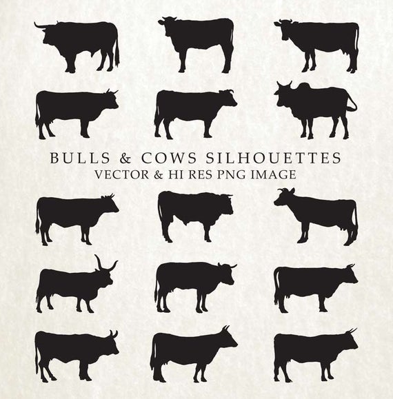 Cow Silhouette Cow Bull Vector Clipart Etsy 570x579 Cow Silhouette Cow Bull Vector Clipart Etsy