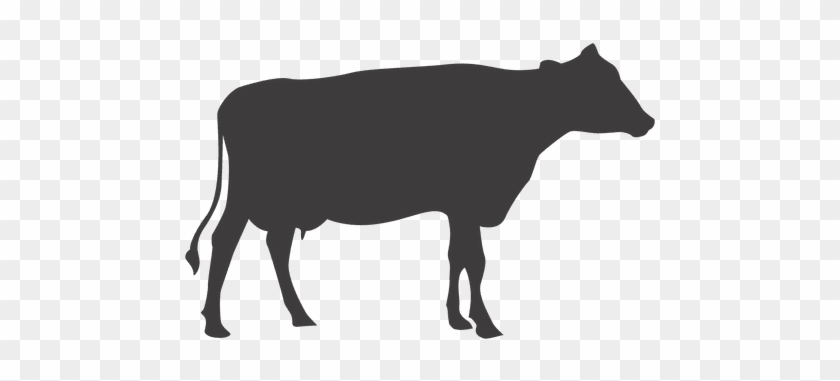 Cow Silhouette Vector 840x381 Cow Silhouette Vector