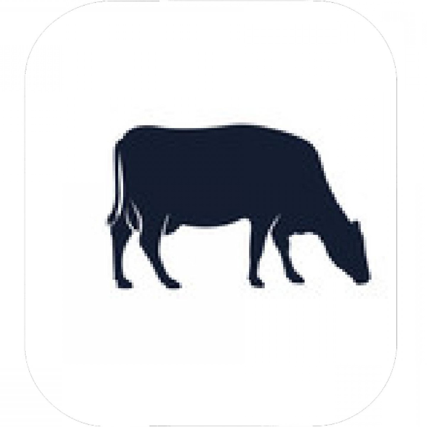 Cow Silhouette Vector Icon Black Angus Vector Illustration 1440x1440 Cow Silhouette Vector Icon Black Angus Vector Illustration