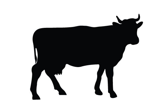 Cow Silhouette Vector Animal Vector Graphics Silhouette Vector 550x354 Cow Silhouette Vector Animal Vector Graphics Silhouette Vector
