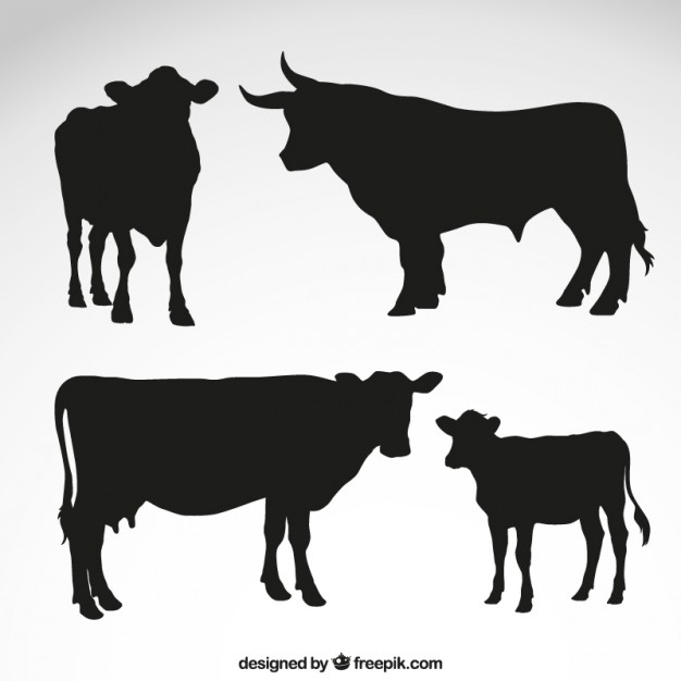 Cows And Bull Silhouettes Vector Free Download 626x626 Cows And Bull Silhouettes Vector Free Download