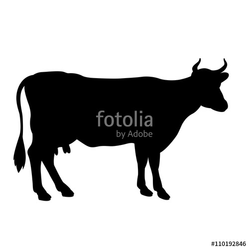 Black Cow Silhouette Isolated Vector Illustration Stock Image 500x500 Black Cow Silhouette Isolated Vector Illustration Stock Image