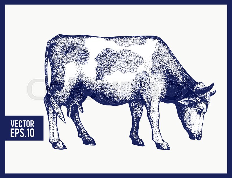 Graphical Cow Silhouette Vector Hand Stock Vector Colourbox 800x616 Graphical Cow Silhouette Vector Hand Stock Vector Colourbox