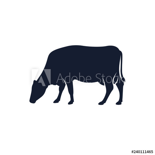 Cow Silhouette Vector Icon Black Angus Vector Illustration 500x500 Cow Silhouette Vector Icon Black Angus Vector Illustration