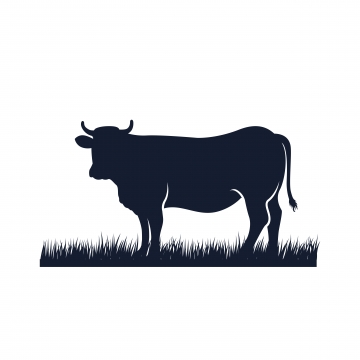 Cow Illustration Png Images Vector And Free Download 360x360 Cow Illustration Png Images Vector And Free Download