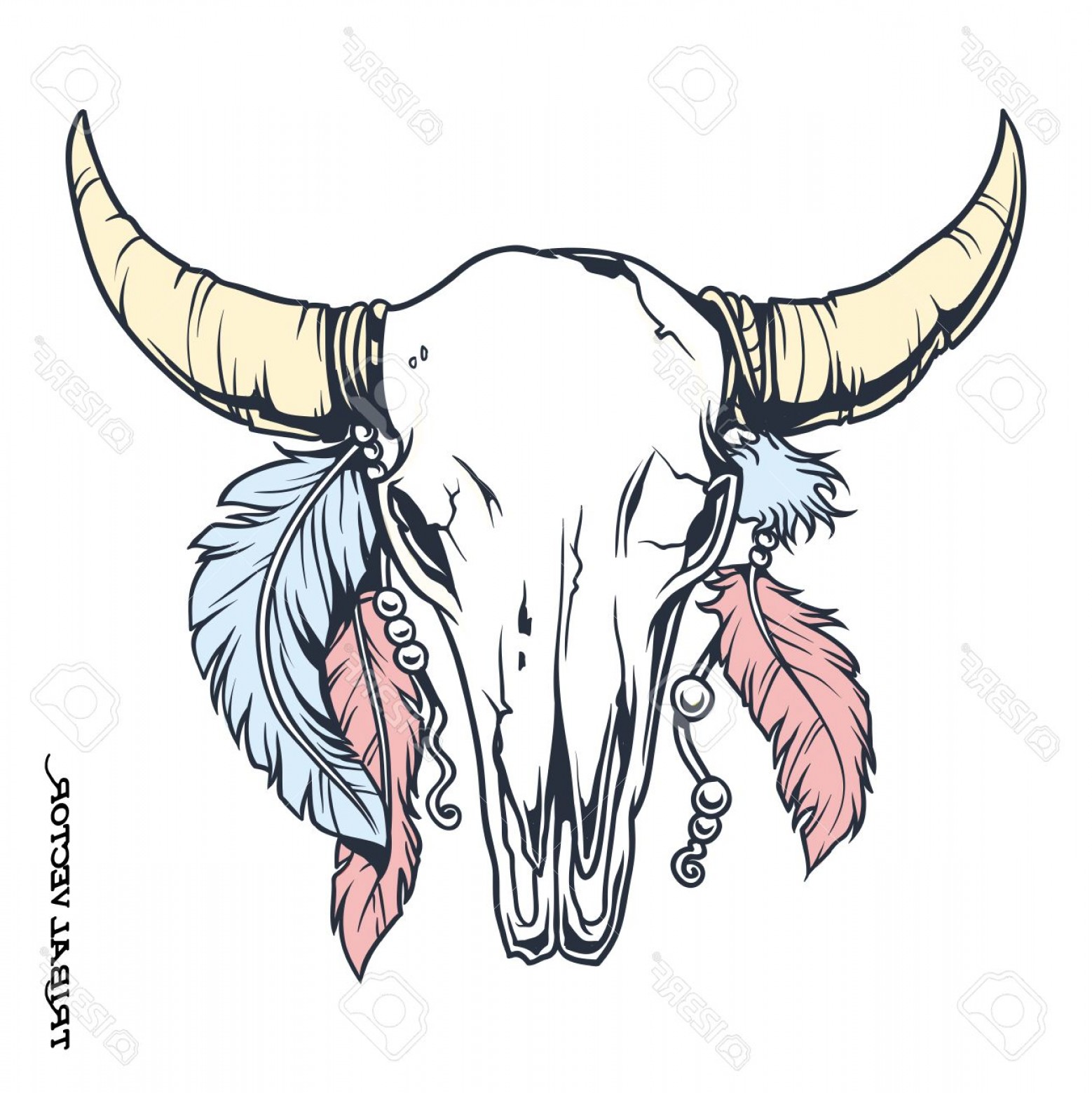 1558x1560 Photostock Vector Vector Tattoo Tribal Bull Skull With Feather