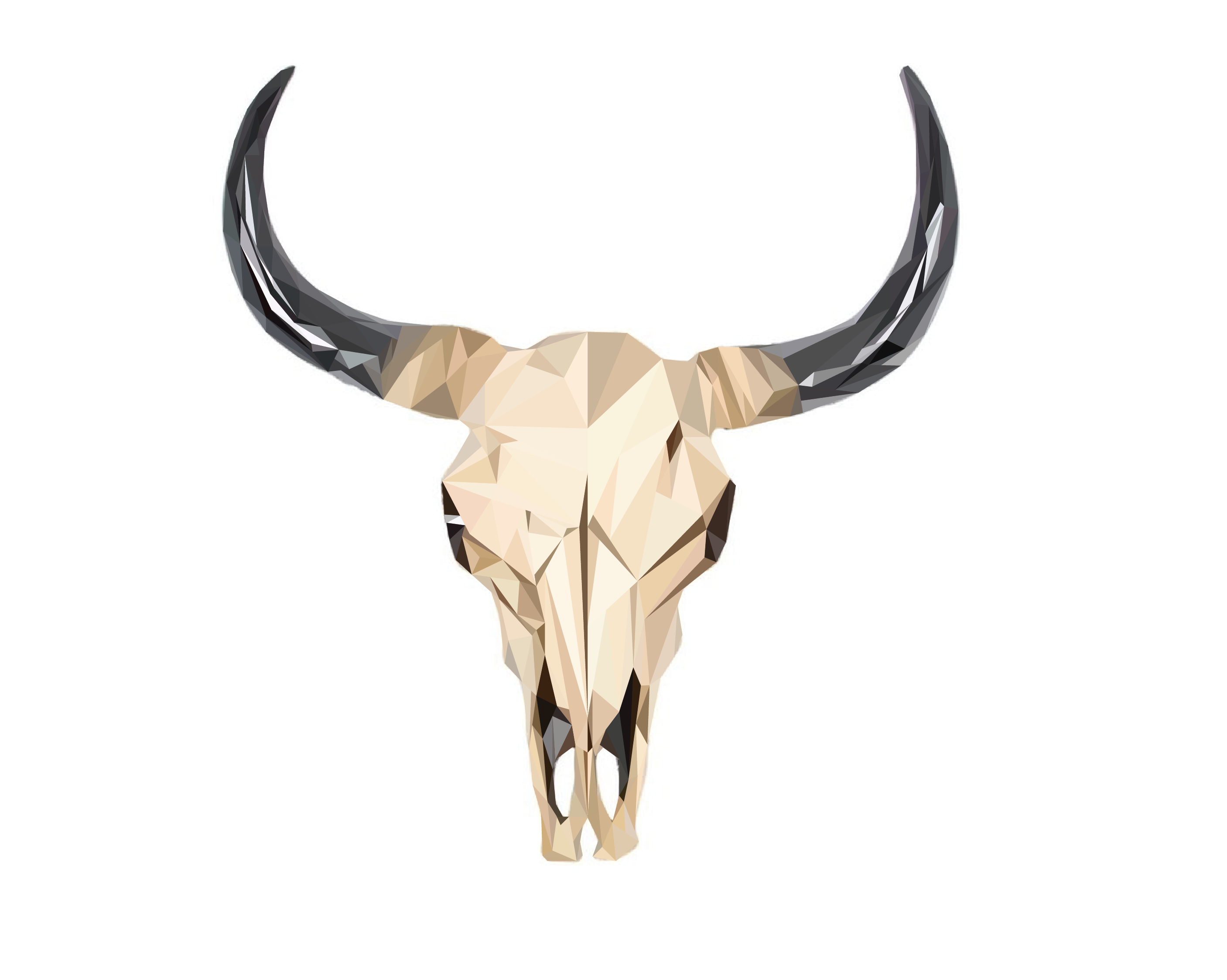 2813x2246 Polygon Vector Cow Skull