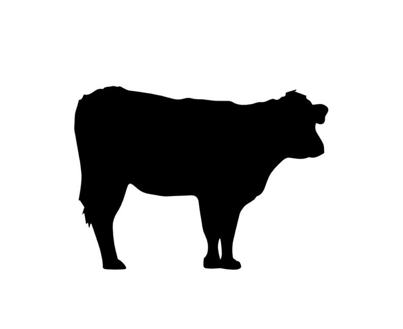794x649 Cow Vector Graphic Instant Download Etsy