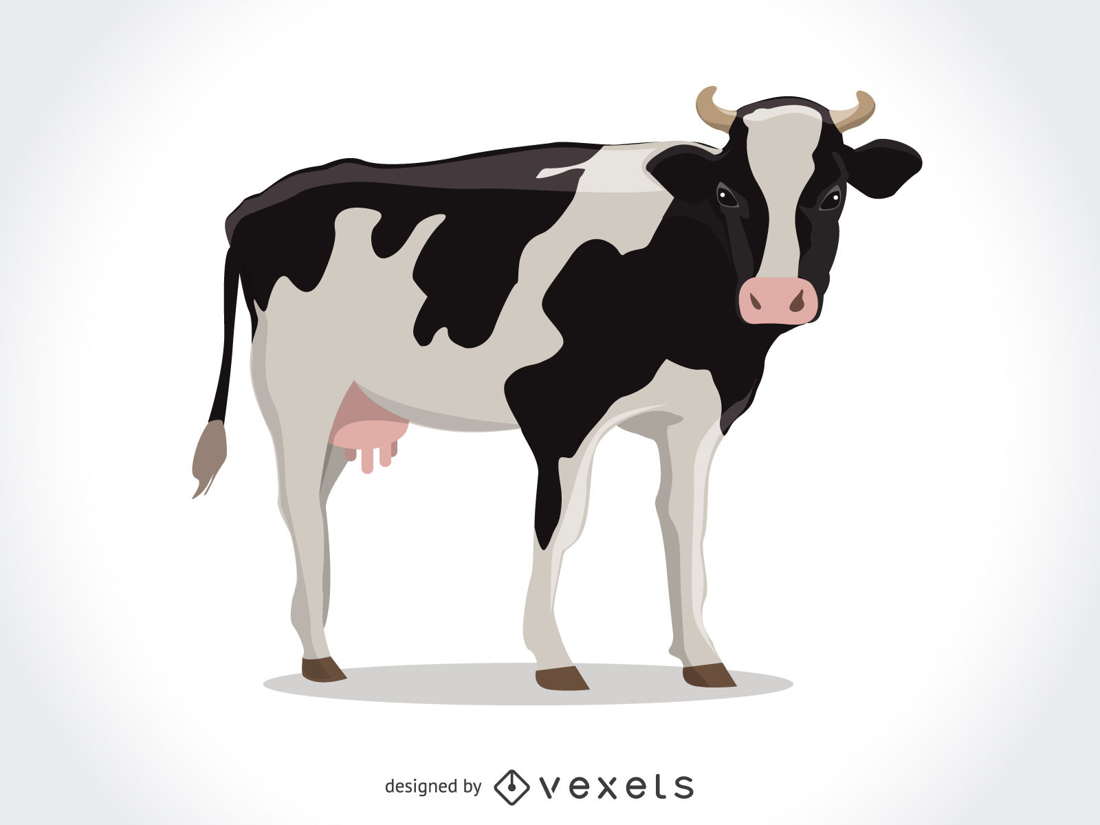 1600x1200 Cow Vector Images Silhouette, Cartoon, More Free Download