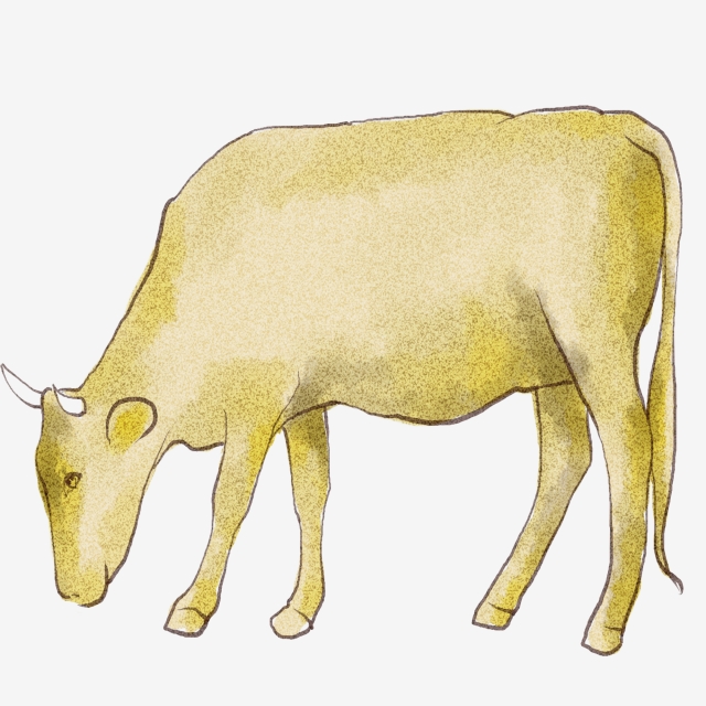 640x640 Cow Vector Png, Vector, And Clipart With Transparent