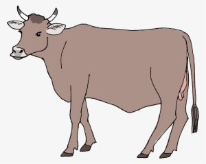 300x239 Cow Vector Png Png Images Png Cliparts Free Download On Seekpng