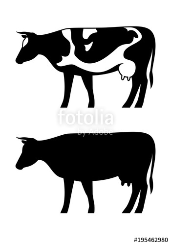 350x500 Cow Vector Silhouette Set Isolated On White Background Cow Icon