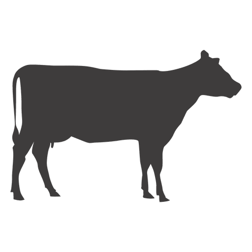 512x512 Cow Walking Vector