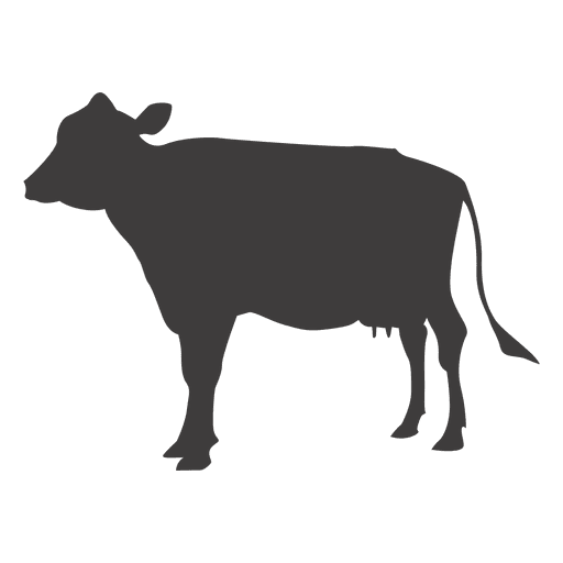 512x512 Cow Vector