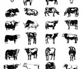 336x280 Vector Black And White Picture Series Of A Painted Cow Vector Art
