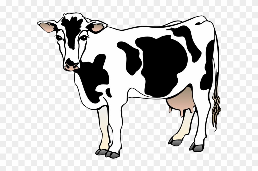 840x557 Cow Vector