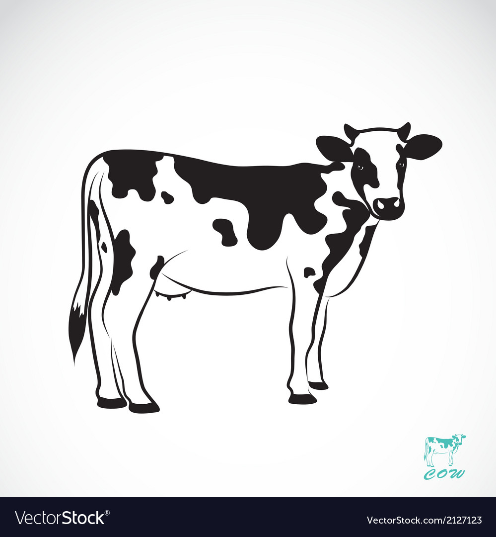 999x1080 Cow Vector