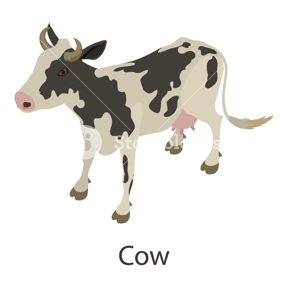 1000x1000 Cow Icon Isometric Illustration Of Cow Vector Icon For Web