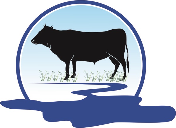 600x437 Cow Vector Free Cdr Vector Free Download Vector Graphic Art