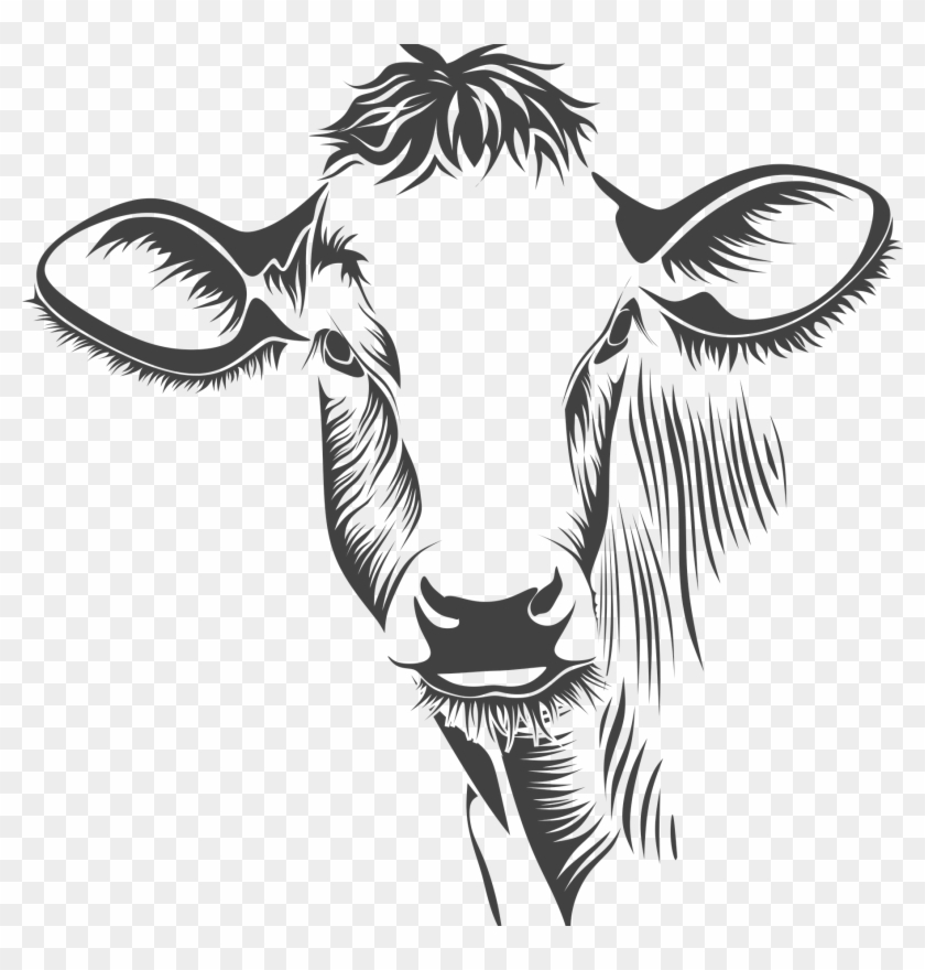 840x880 Bison Head Drawing At Getdrawings