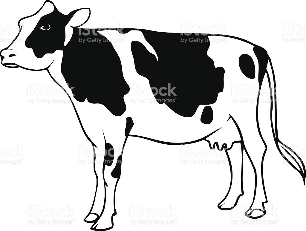 1024x773 Dairy Cow Line Drawing Adornar Cuarto De Minnie Mouse