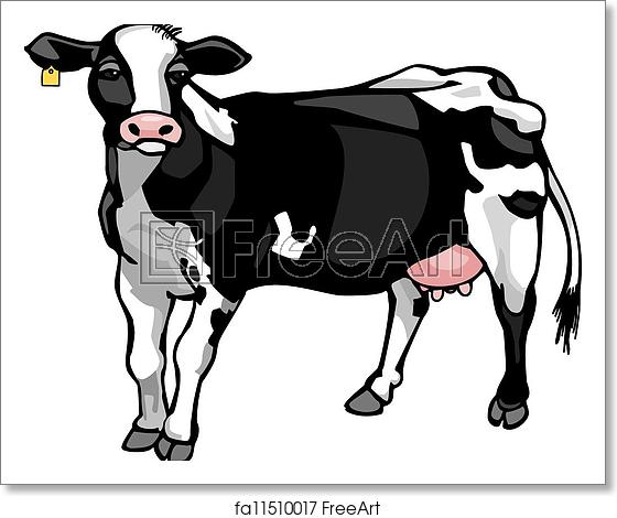 560x470 Free Art Print Of Dairy Cow Vector Drawing Of A Dairy Cow
