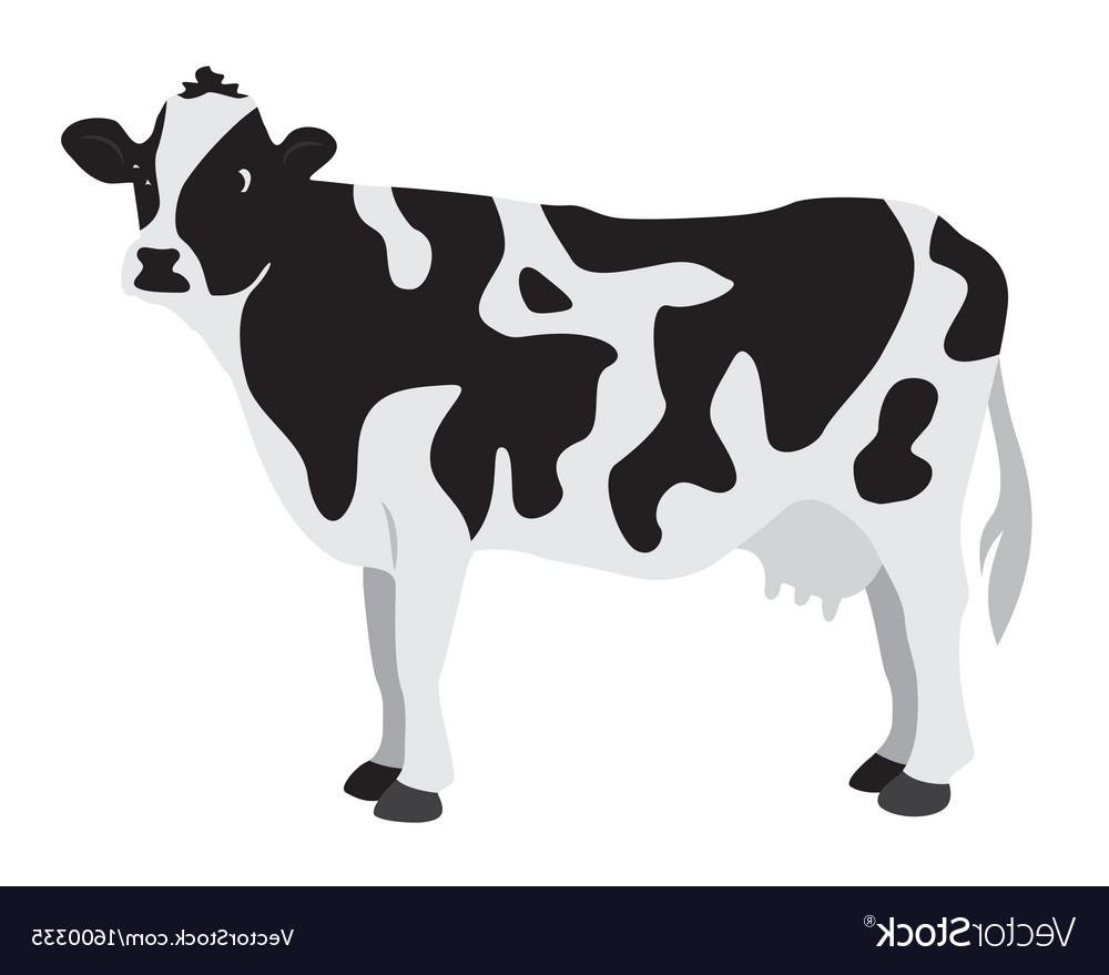 1000x879 Hd Milking Cows Vector Free Vector Images Design