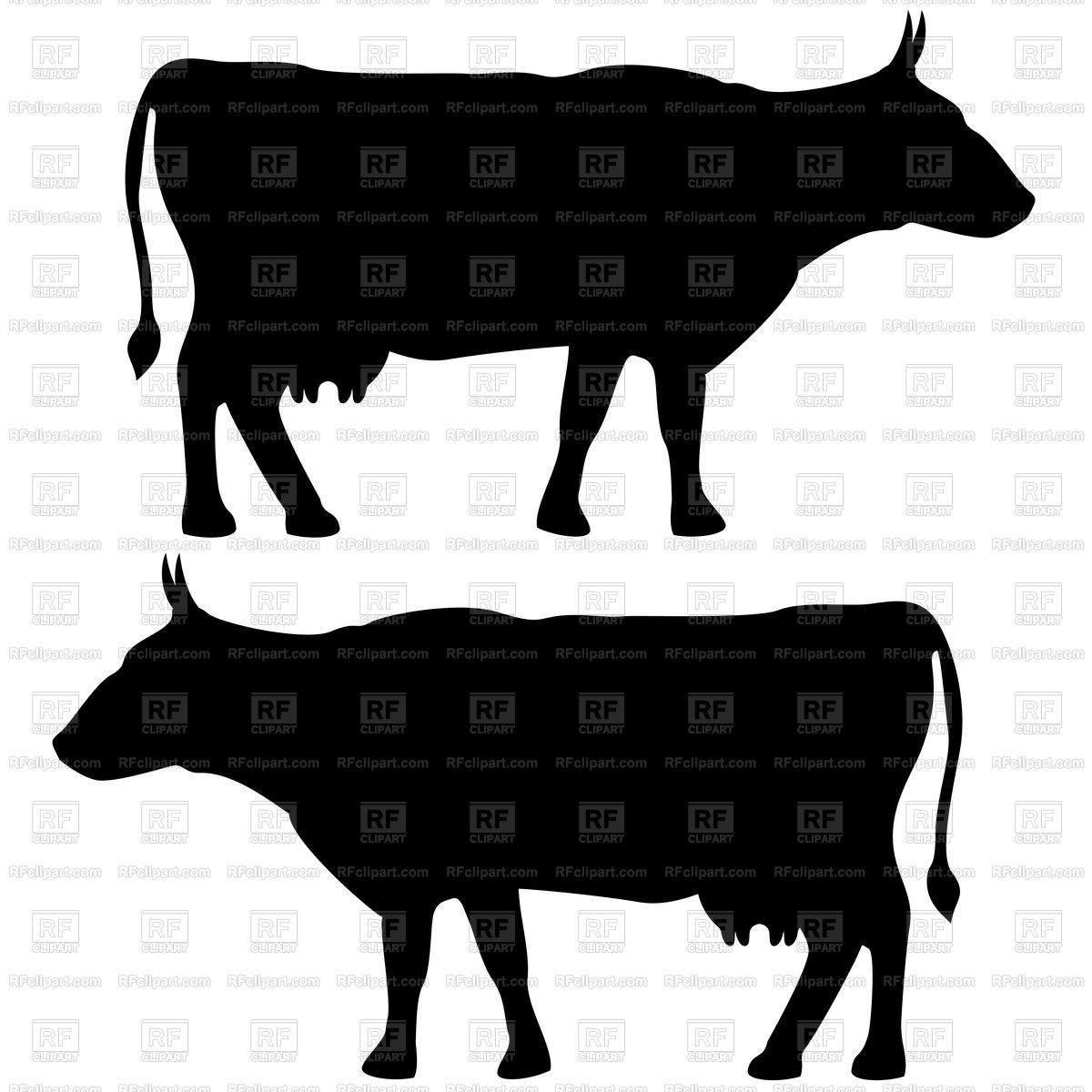 Cow Vector Free at Vectorified.com | Collection of Cow Vector Free free ...