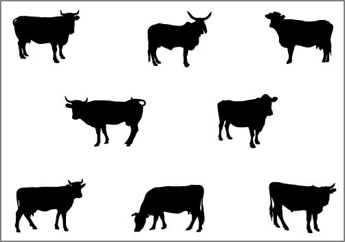 502x352 Cow Silhouette Vector Silhouette Clip Art Silhouette Vector