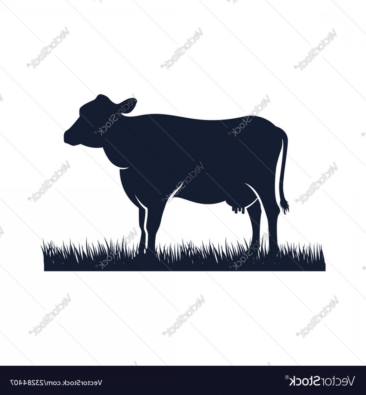 1200x1296 Angus Cow Vector Cqrecords