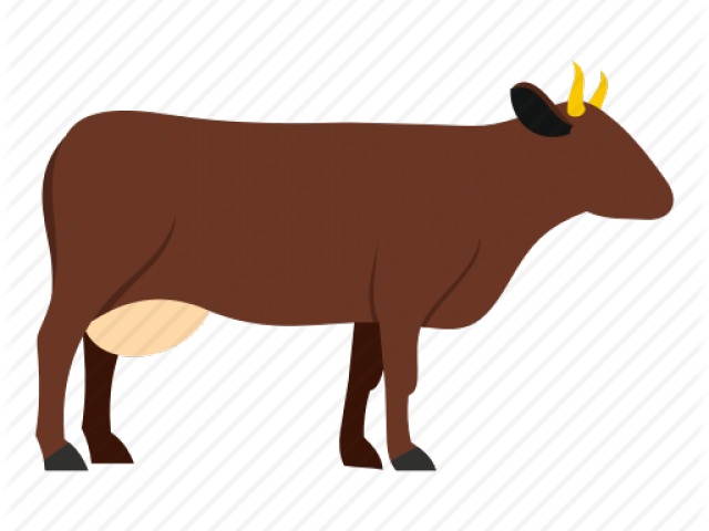Cow Vector Png