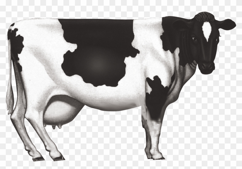 840x589 Cow Vector Friesian