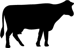 239x155 Cow Vector Png Images