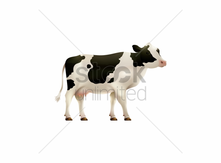 920x680 Cow Vector Png