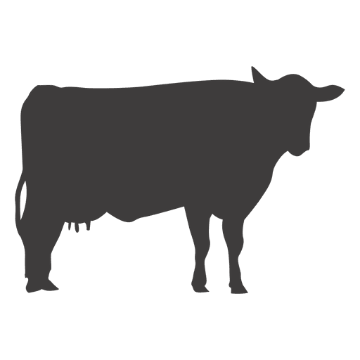 512x512 Cow Standing Vector