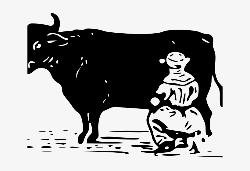 820x560 Drawn Cow Vector