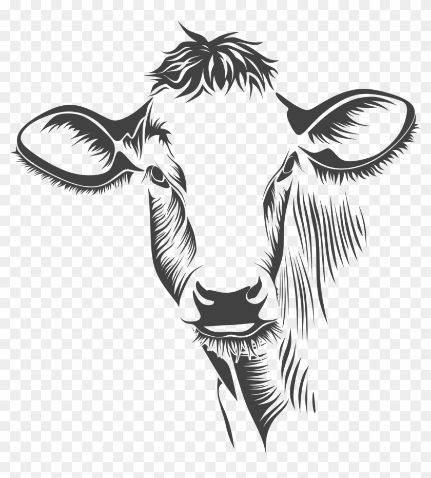 840x931 New Images Cow Vector Free Download