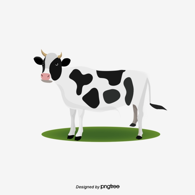 640x640 Cow Png Images, Download Cow Png Resources With Transparent