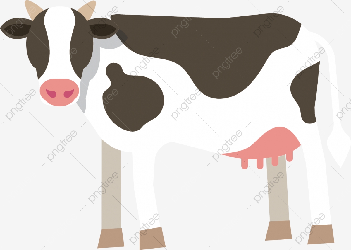 1200x853 Cow Vector, Dairy Cow, Decoration Png