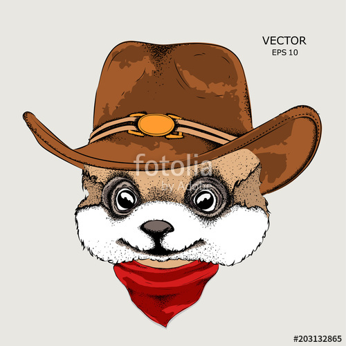 500x500 A Rabbit In A Cowboy Hat Vector Illustration Stock Image