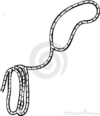 388x450 Lasso Clip Art