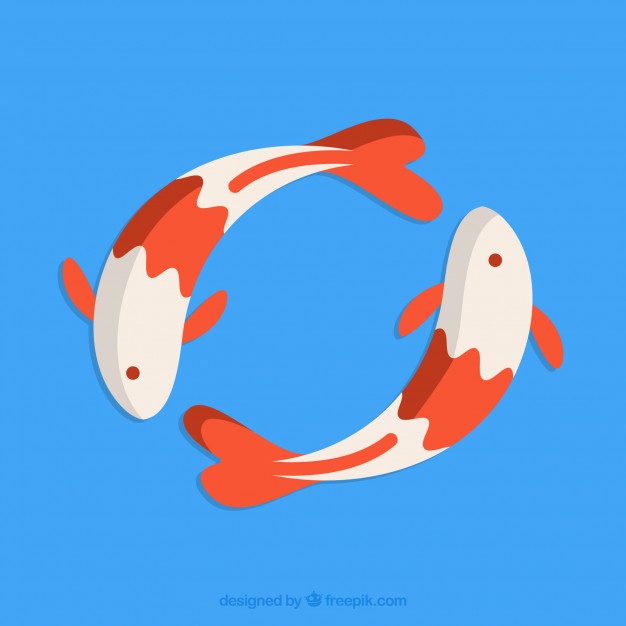 626x626 Japanese Koi Fish Vector Free Download